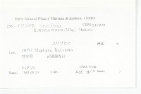 登錄號:S108033藏品圖，第2張