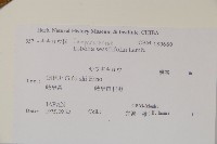 無柄葉山梗菜藏品圖，第2張