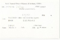 葶藶藏品圖，第2張