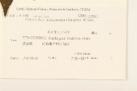 登錄號:S108073藏品圖，第2張