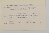 登錄號:S108084藏品圖，第2張