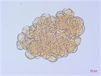 登錄號:S108093藏品圖，第2張