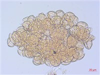 登錄號:S108093藏品圖，第3張