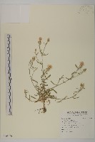 登錄號:S108096藏品圖，第1張