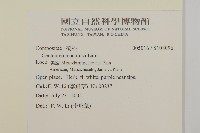 登錄號:S108096藏品圖，第2張