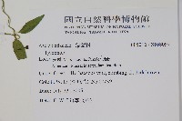 登錄號:S108097藏品圖，第2張