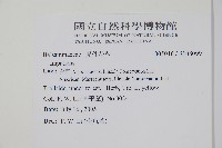 登錄號:S108099藏品圖，第2張