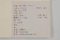 登錄號:S108099藏品圖，第4張