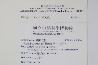 硬齒獼猴桃藏品圖，第2張