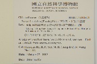 草珊瑚、紅果金粟蘭藏品圖，第2張