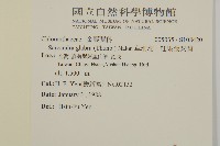 草珊瑚、紅果金粟蘭藏品圖，第2張