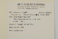 草珊瑚、紅果金粟蘭藏品圖，第2張