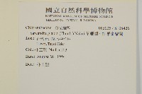 草珊瑚、紅果金粟蘭藏品圖，第2張