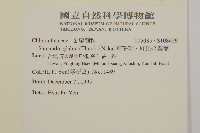 草珊瑚、紅果金粟蘭藏品圖，第2張