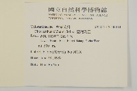 臺灣及己藏品圖，第2張