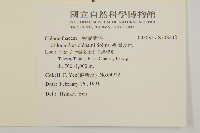 臺灣及己藏品圖，第2張