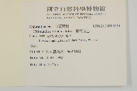 臺灣及己藏品圖，第2張