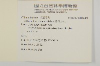 臺灣及己藏品圖，第2張