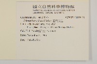 臺灣及己藏品圖，第2張