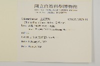 臺灣及己藏品圖，第2張