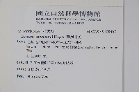 臺灣小蘗藏品圖，第2張