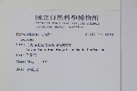 臺灣小蘗藏品圖，第2張