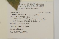 走馬胎藏品圖，第2張