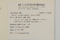 走馬胎藏品圖，第4張