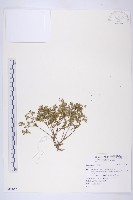 登錄號:S108531藏品圖，第1張