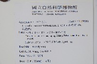 臺灣絡石藏品圖，第2張