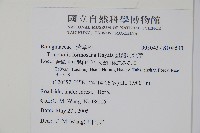 臺灣附地草藏品圖，第2張