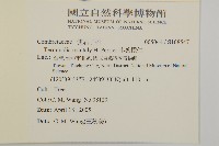 小葉欖仁藏品圖，第2張