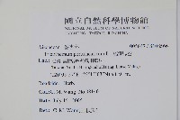 假海馬齒藏品圖，第2張