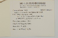 馬氏濱藜藏品圖，第2張
