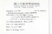 廣東葶藶藏品圖，第2張