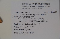 著生珊瑚樹藏品圖，第2張