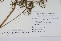 登錄號:S108608藏品圖，第2張