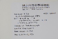 翠蘆莉藏品圖，第2張