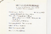 野牽牛藏品圖，第2張