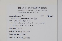 青莧藏品圖，第2張