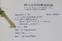 青莧藏品圖，第4張