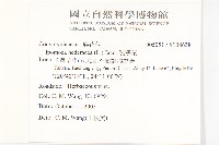 碗仔花藏品圖，第2張