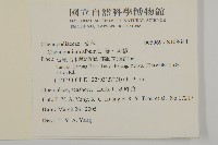 藜、灰藜藏品圖，第2張