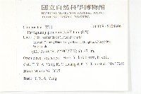 山菊藏品圖，第2張