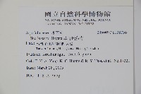 草野氏冬青藏品圖，第2張