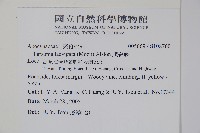 爬森藤藏品圖，第2張