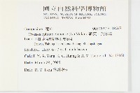 蘄艾、芙蓉菊藏品圖，第2張