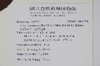 臺灣赤楊、臺灣榿木藏品圖，第2張