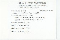 火焰草藏品圖，第2張