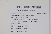 野勿忘草藏品圖，第5張